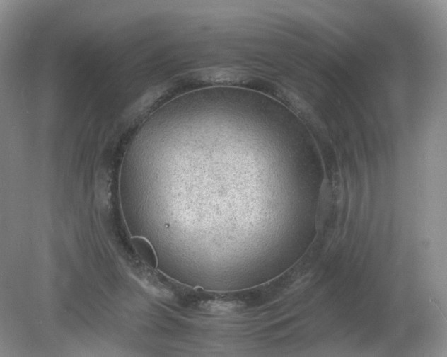 X0000079340255200612011941