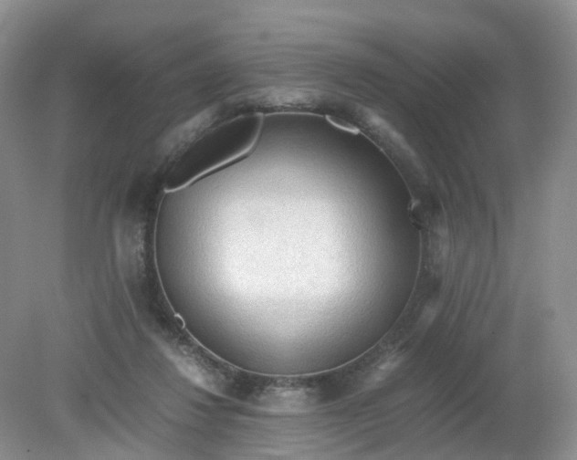 X0000079340260200612011941