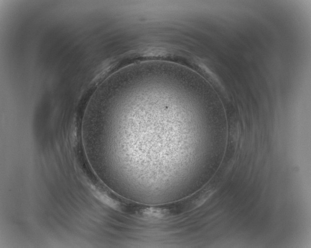 X0000079340261200612011941