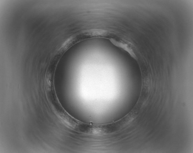 X0000079340264200612011941