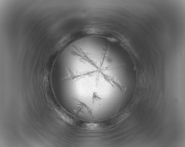 X0000079340265200612011941