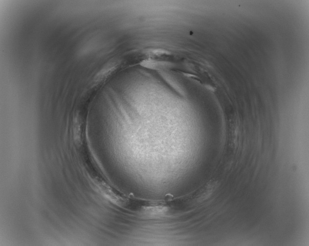 X0000079340266200612011941