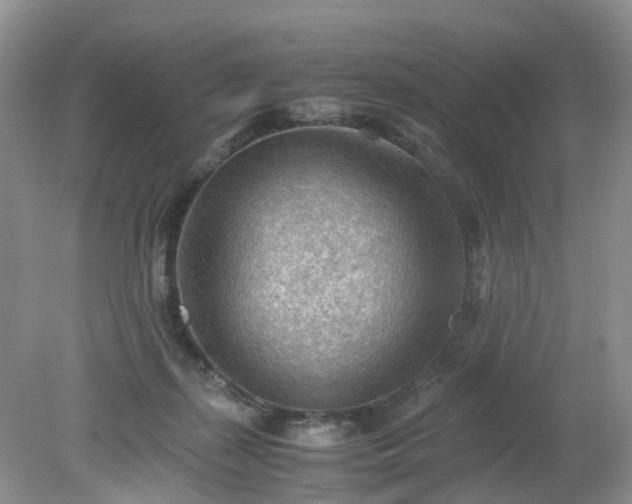 X0000079340267200612011941