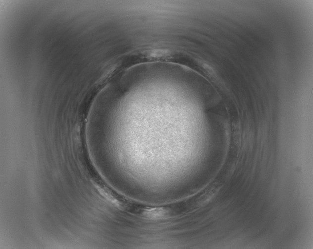 X0000079340269200612011941