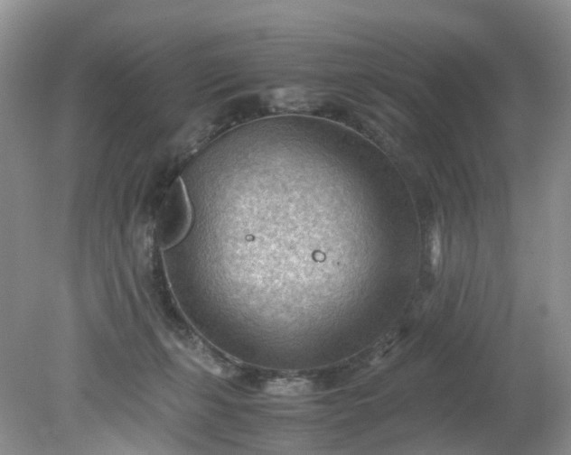 X0000079340271200612011941