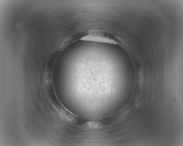 X0000079340272200612011941