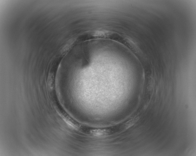 X0000079340273200612011941