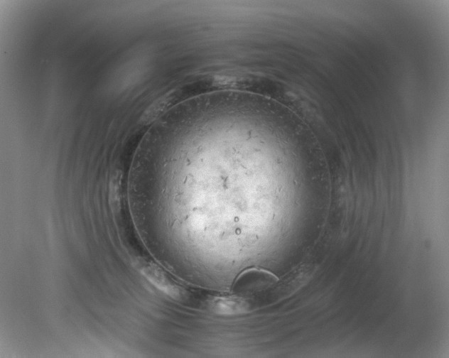 X0000079340275200612011941