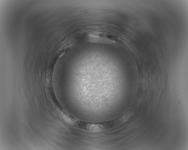 X0000079340277200612011941