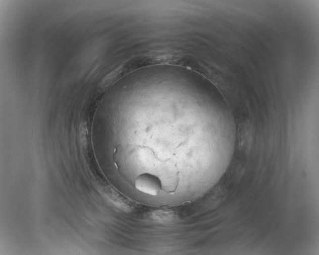 X0000079340279200612011942