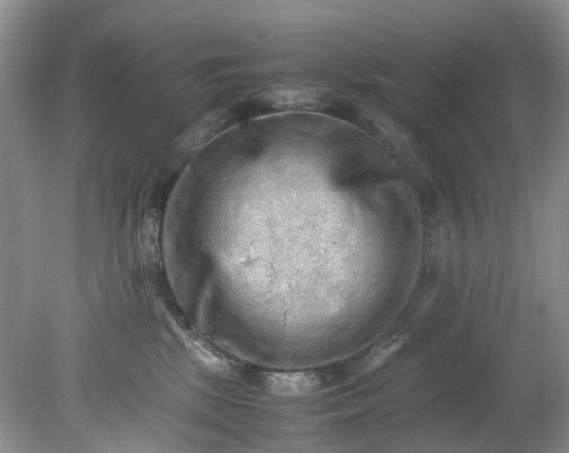 X0000079340281200612011942