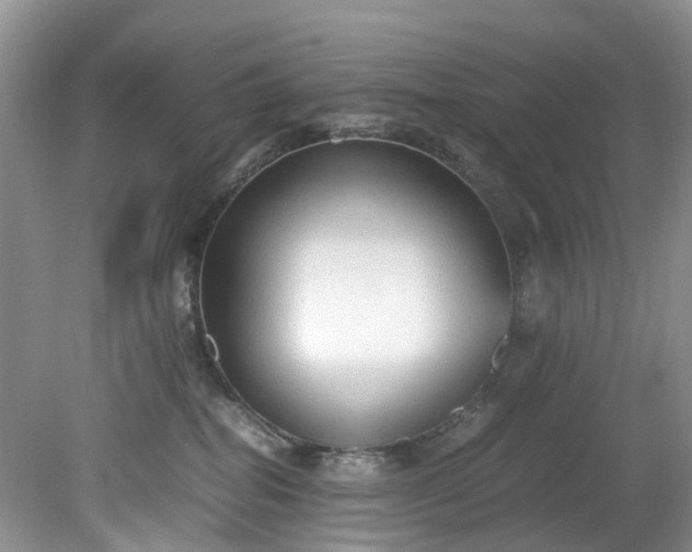 X0000079340282200612011942