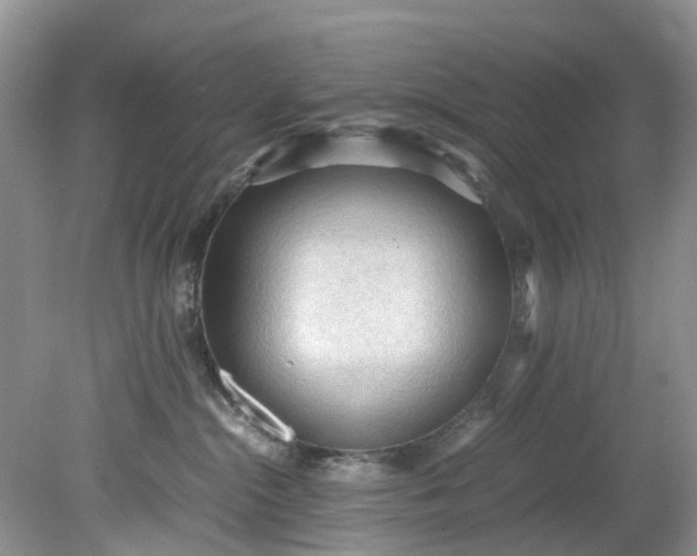 X0000079340284200612011942