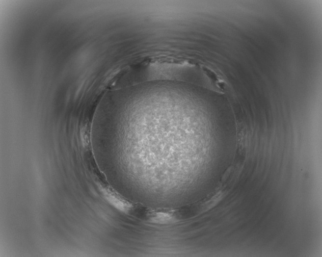 X0000079340285200612011942