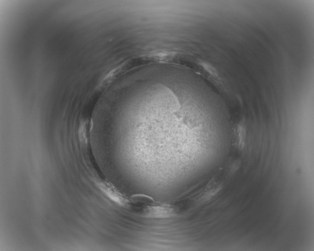 X0000079340286200612011942