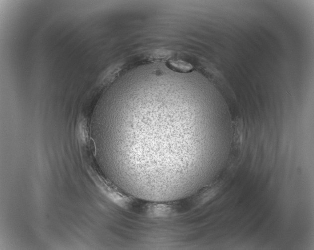 X0000079340287200612011942