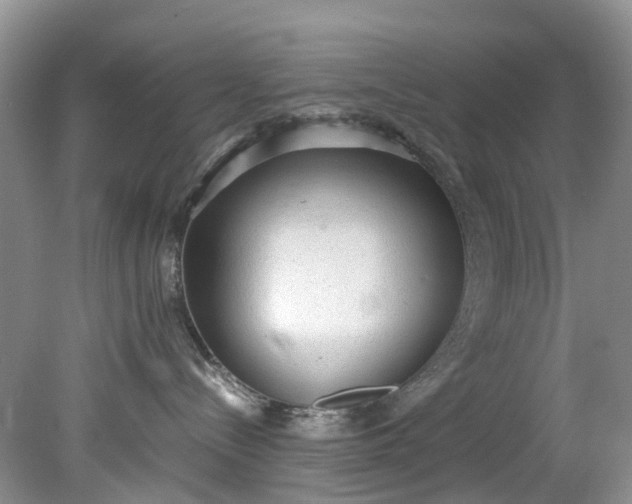 X0000079340288200612011942