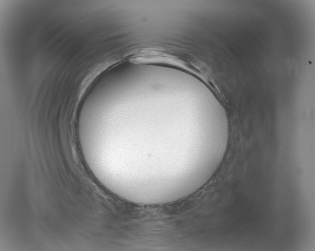 X0000079340289200612011941