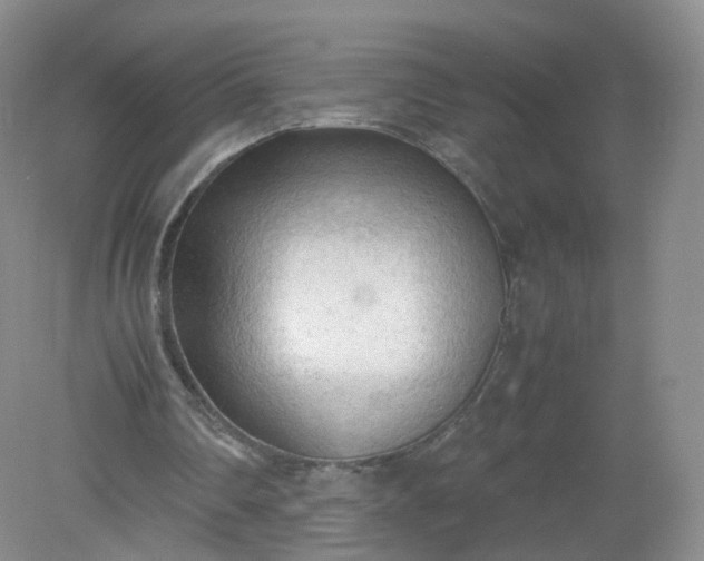 X0000079340290200612011941