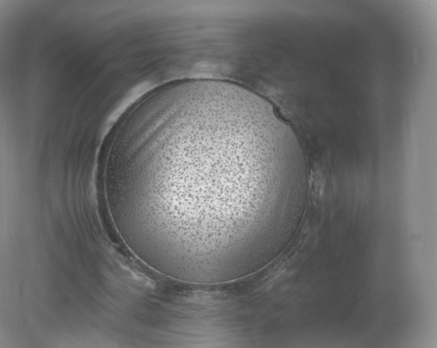 X0000079340292200612011941