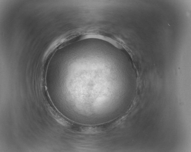 X0000079340293200612011941