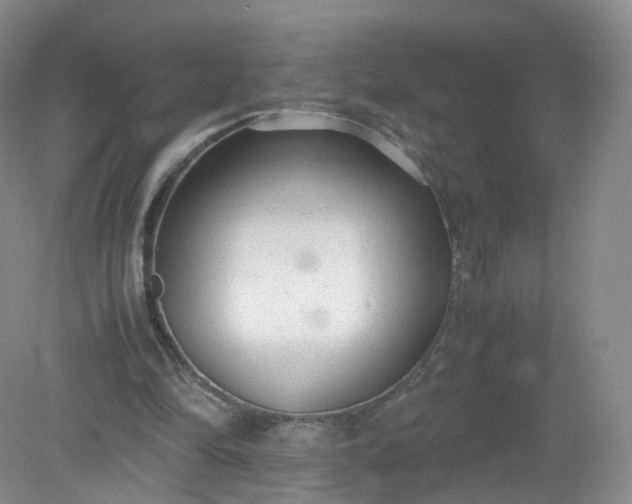 X0000079340294200612011941