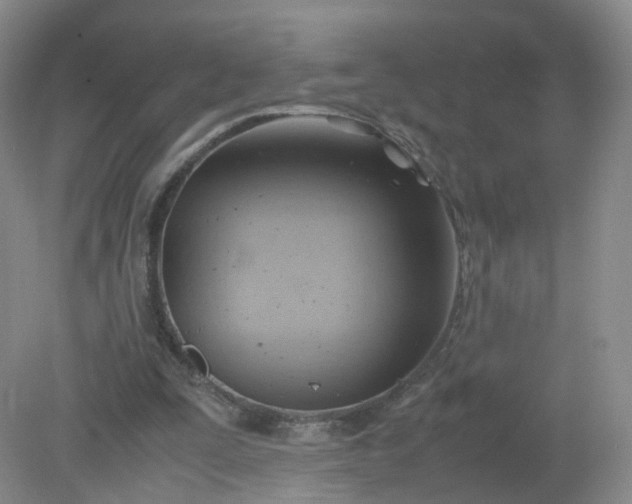 X0000079340295200612011941