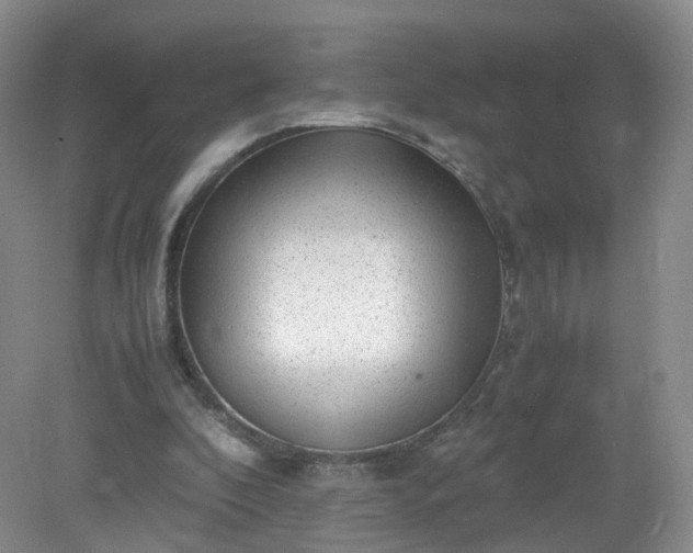 X0000079340296200612011941