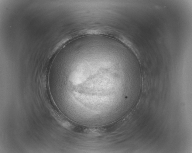 X0000079340297200612011941