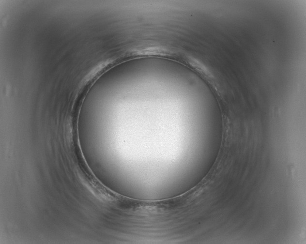 X0000079340298200612011941