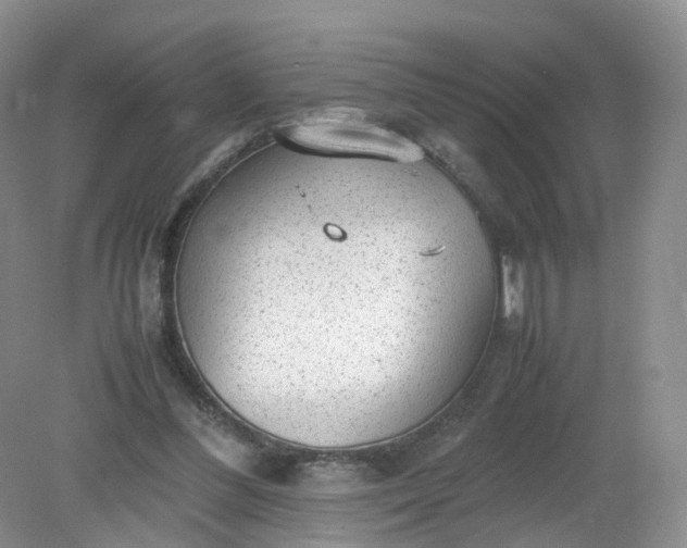 X0000079340300200612011941