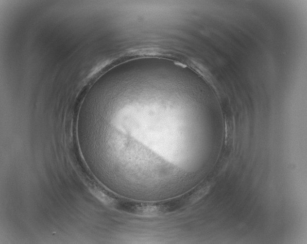 X0000079340301200612011941