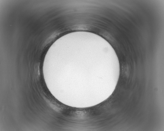 X0000079340302200612011941