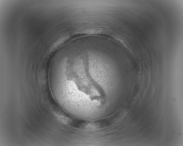 X0000079340303200612011941