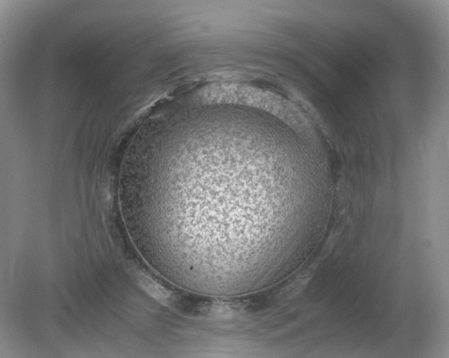 X0000079340305200612011941