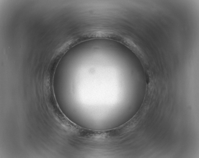 X0000079340306200612011941