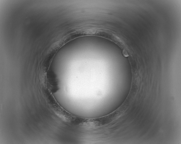 X0000079340307200612011941