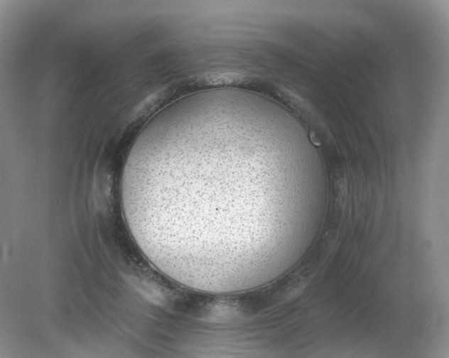 X0000079340308200612011941