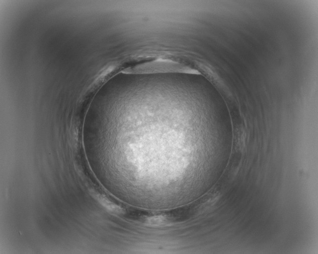 X0000079340309200612011941