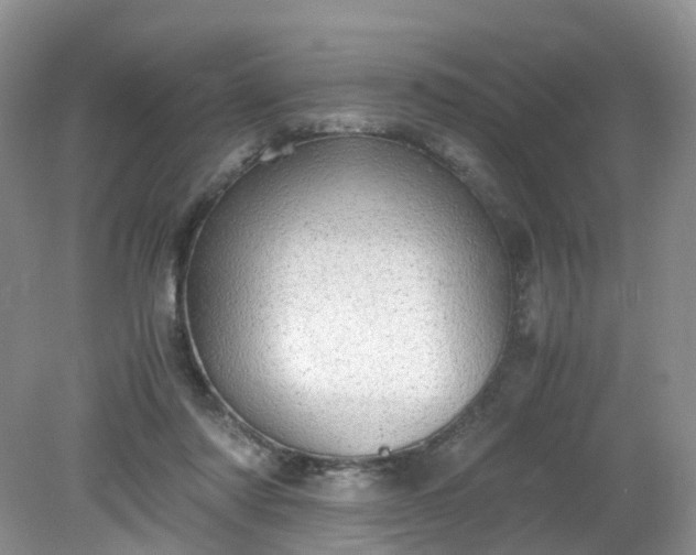 X0000079340310200612011941