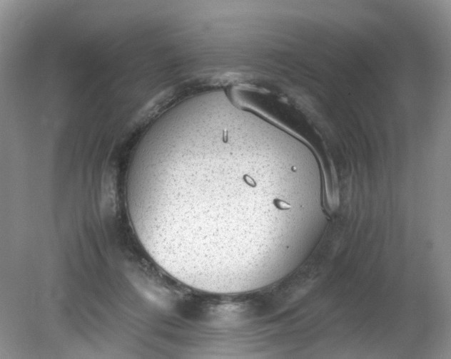 X0000079340312200612011940