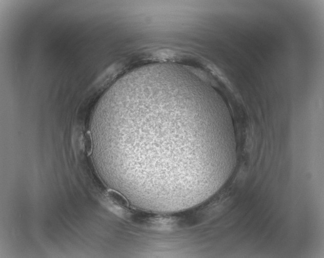 X0000079340313200612011940