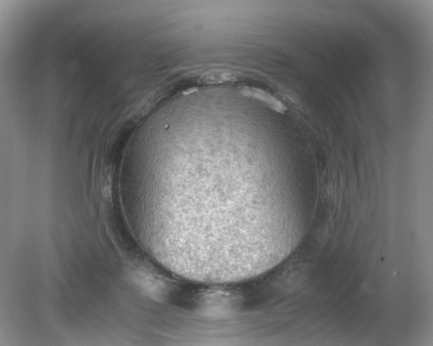 X0000079340315200612011940