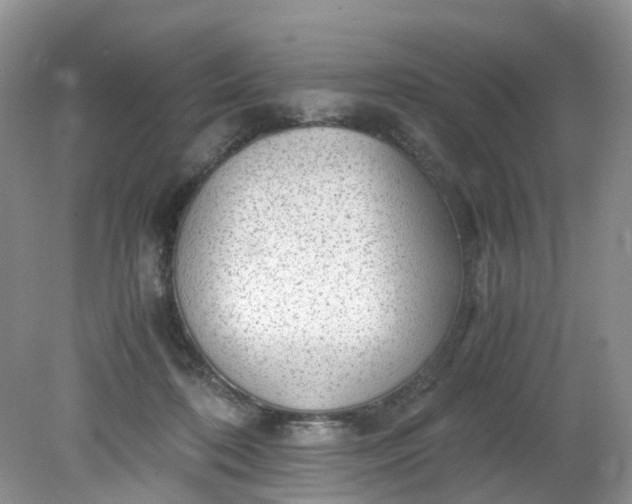 X0000079340316200612011940