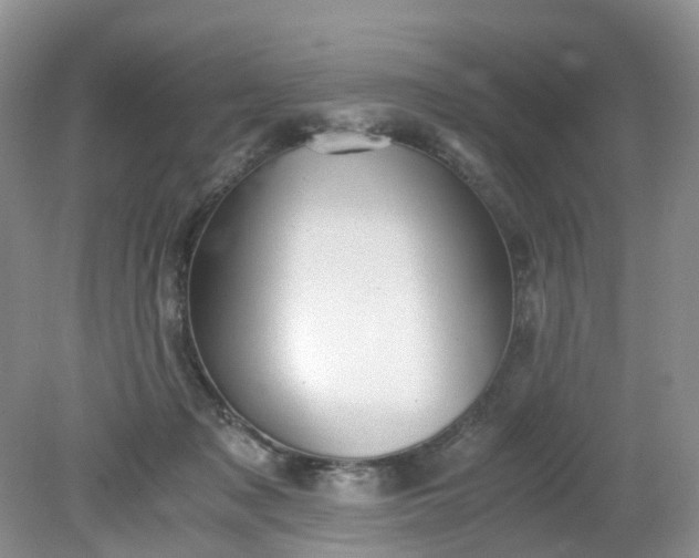 X0000079340317200612011940