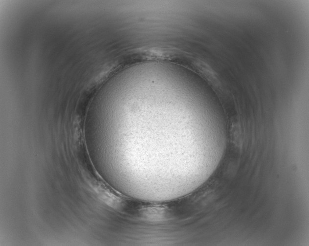 X0000079340318200612011940