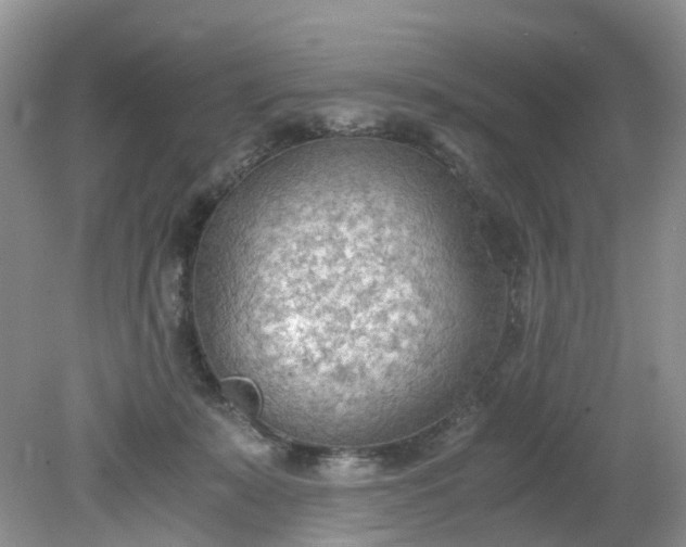 X0000079340319200612011940