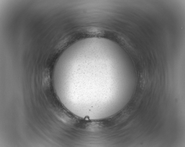 X0000079340320200612011940