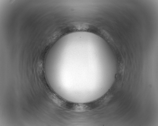 X0000079340321200612011940