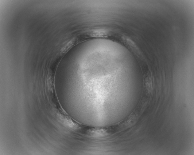 X0000079340322200612011940